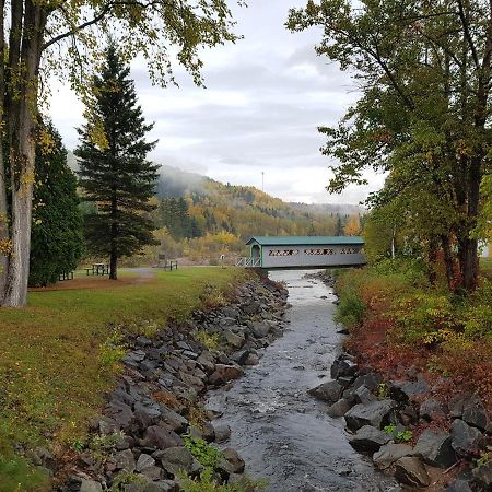 Condo-Chalet De La Vallee D'Edouard LʼAnse-Saint-Jean Buitenkant foto