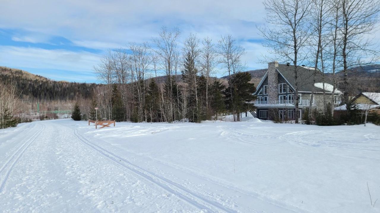 Condo-Chalet De La Vallee D'Edouard LʼAnse-Saint-Jean Buitenkant foto