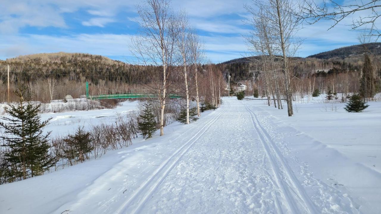 Condo-Chalet De La Vallee D'Edouard LʼAnse-Saint-Jean Buitenkant foto