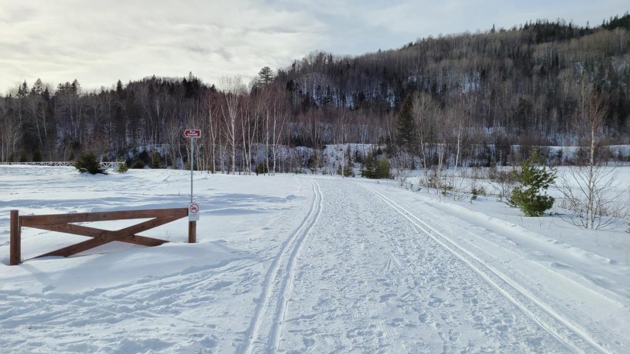 Condo-Chalet De La Vallee D'Edouard LʼAnse-Saint-Jean Buitenkant foto