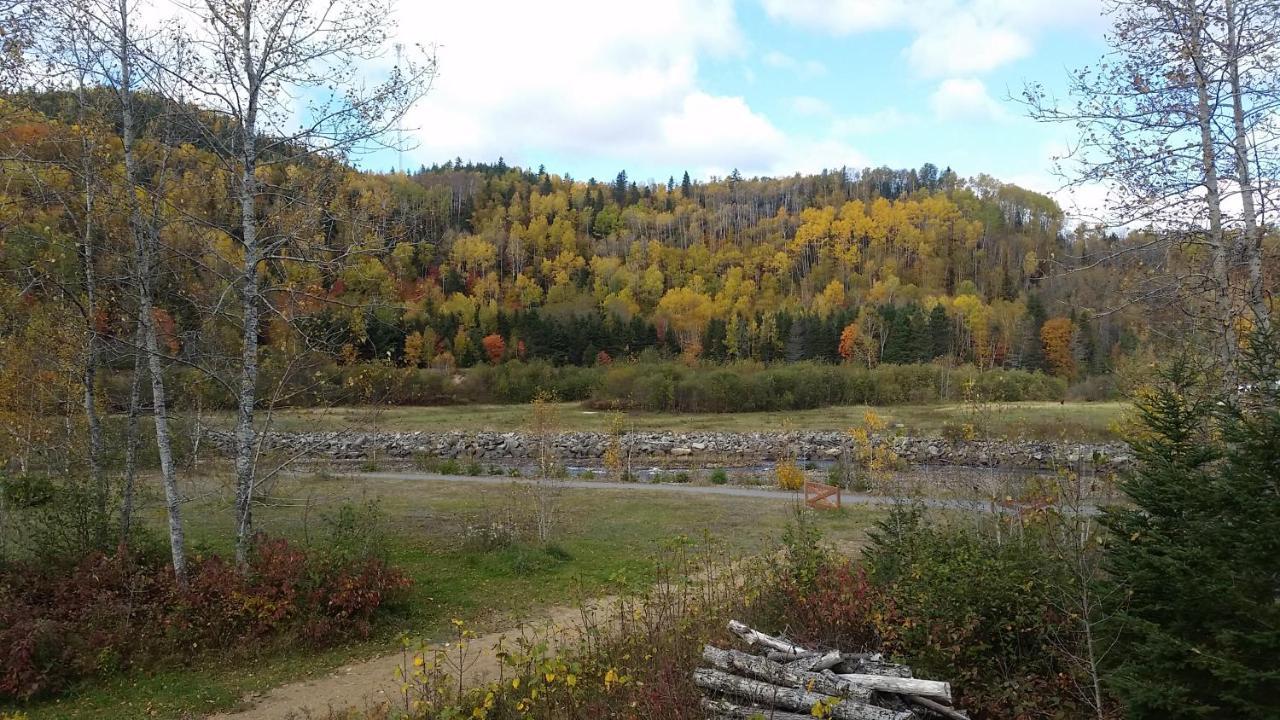 Condo-Chalet De La Vallee D'Edouard LʼAnse-Saint-Jean Buitenkant foto