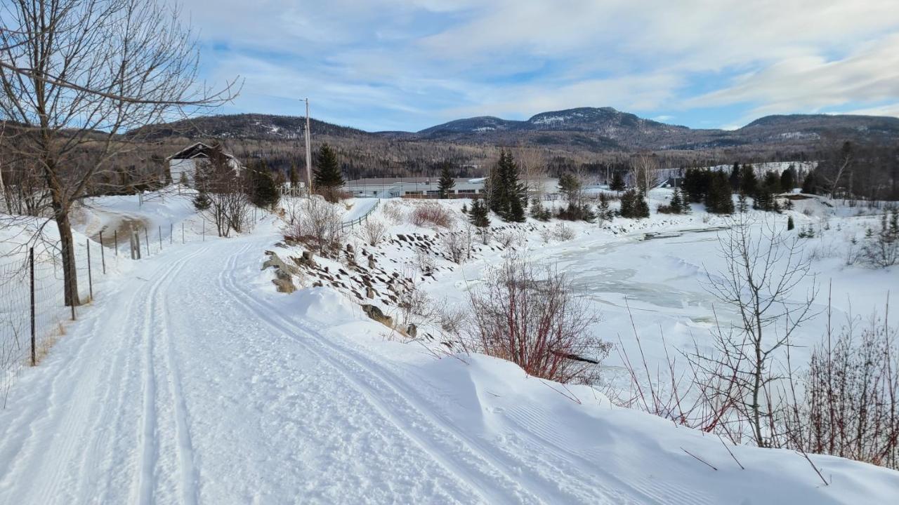 Condo-Chalet De La Vallee D'Edouard LʼAnse-Saint-Jean Buitenkant foto