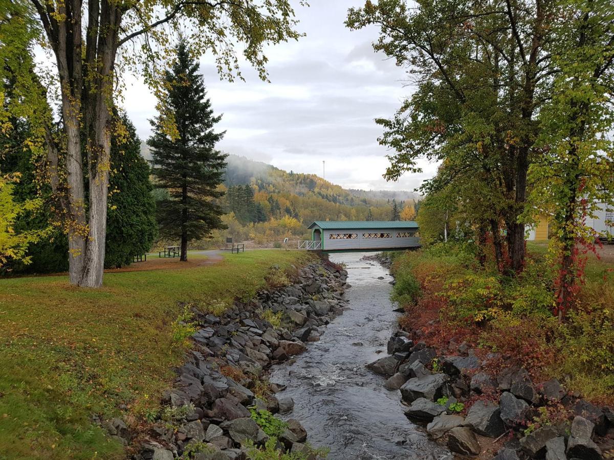 Condo-Chalet De La Vallee D'Edouard LʼAnse-Saint-Jean Buitenkant foto